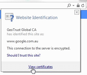 Accessing Certificate Information in Internet Explorer v11