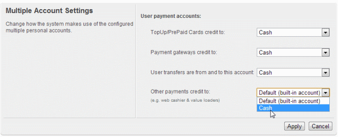 User payment accounts