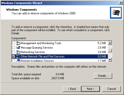 Windows Component: Other Network File and Print Service
