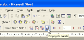 Propagate labels button in previous versions of MS Word